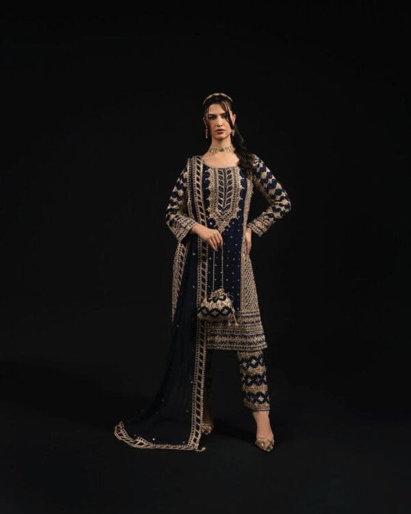 Party Wear Suit