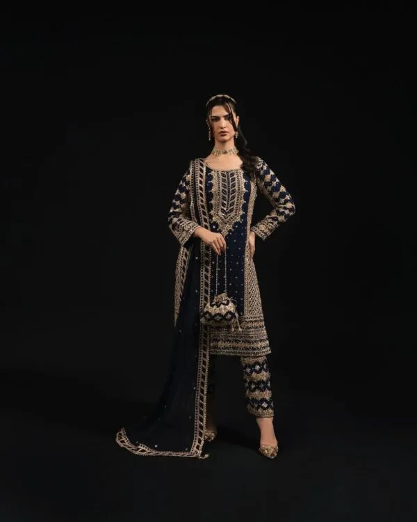 Party Wear Suit